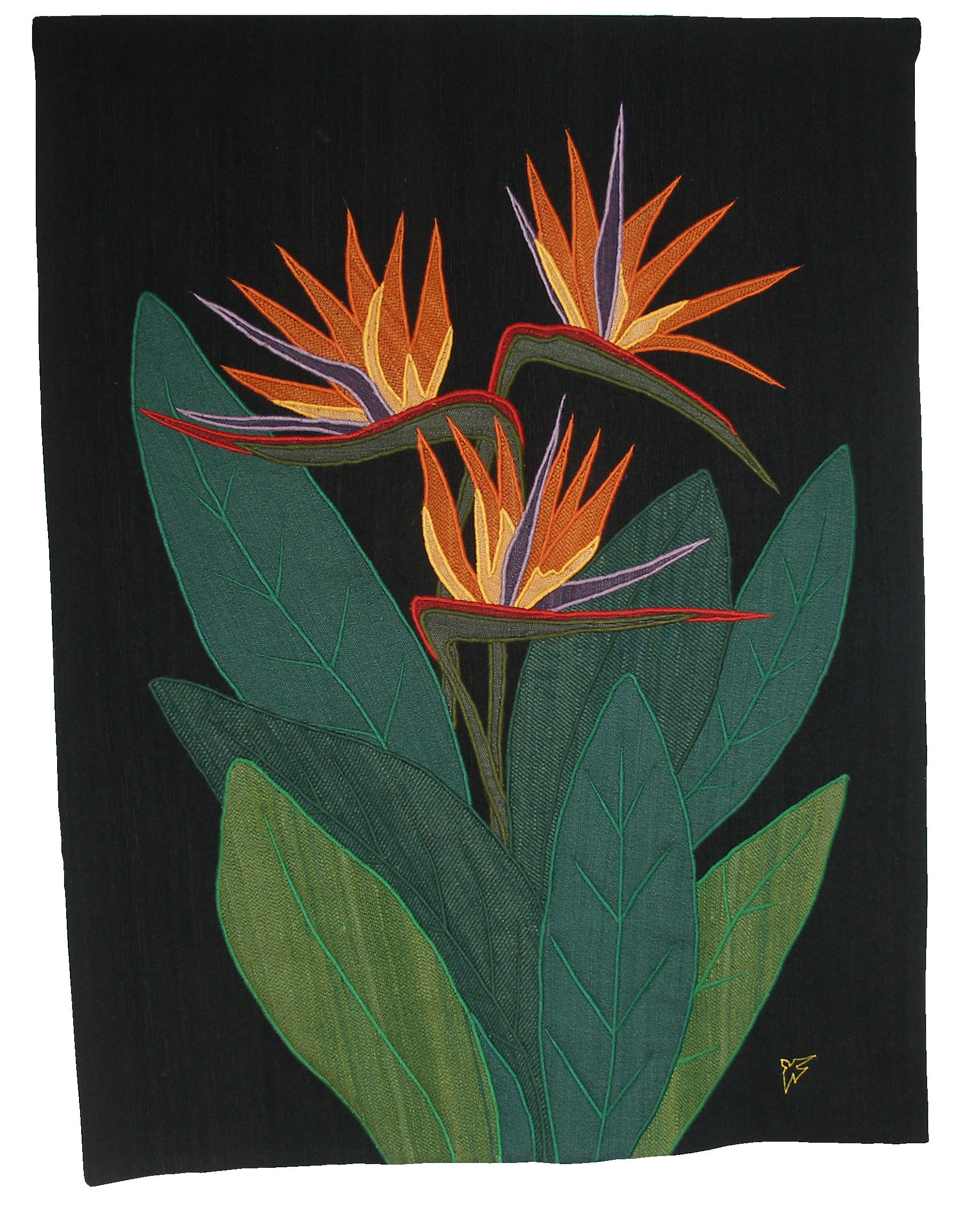 Bird Of Paradise C
