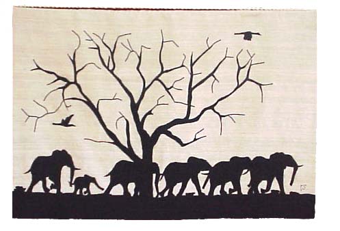 Elephant Walk C